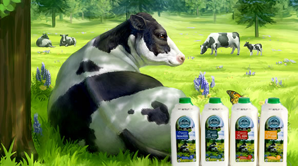 Organic Jersey Milk Products Rock Ridge Dairy