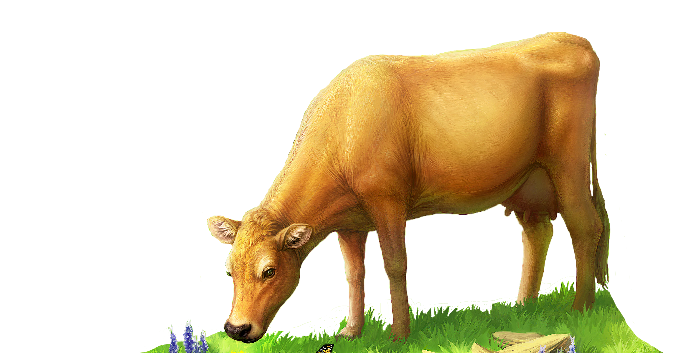 fn-cow