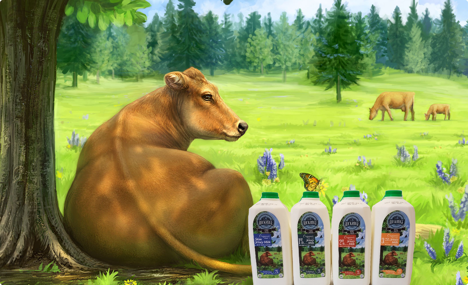 Alberta Dairy Milk